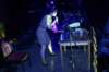 cabaree141_small.jpg